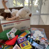 ehl christmas box